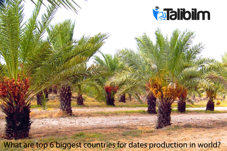 What are top 6 biggest countries for dates production in world?