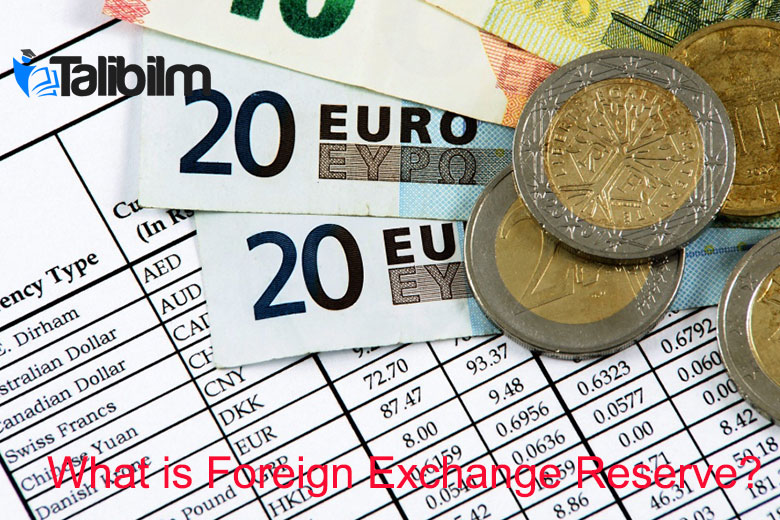 What is foreign exchange reserve