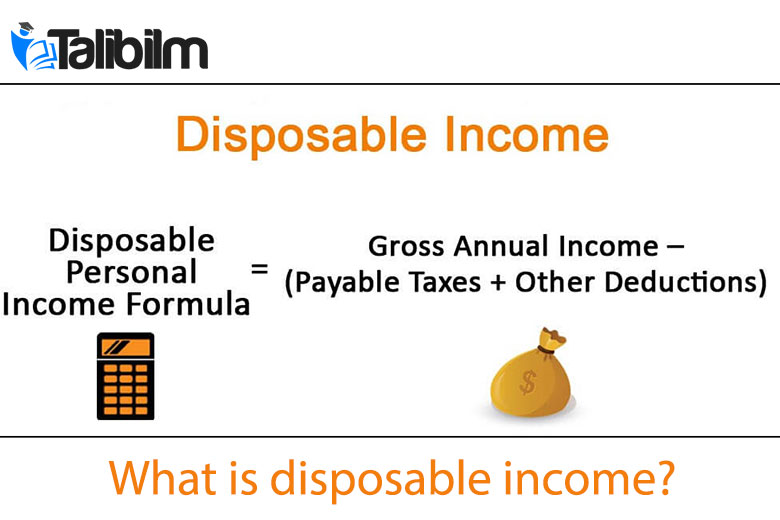 What is disposable income?