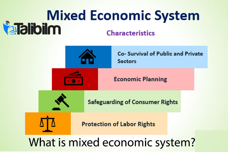 What is mixed economic system?